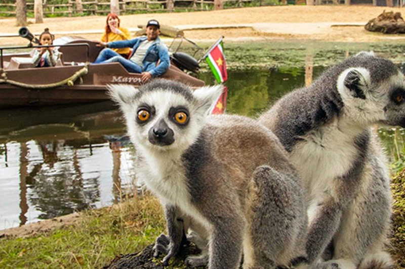 Dierenpark Amersfoort