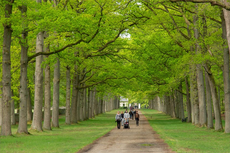 Het Aardhuis